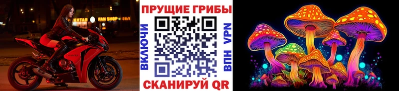 Галлюциногенные грибы MAGIC MUSHROOMS  купить  цена  Заречный 