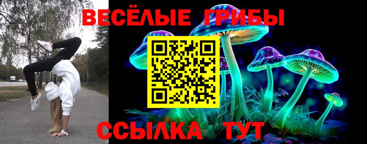 Галлюциногенные грибы прущие грибы  Галлюциногенные грибы прущие грибы  Заречный  Вход с VPN 